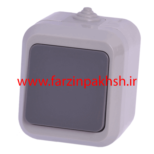 کلید یک پل IP44 روکار دلند مدل آسا