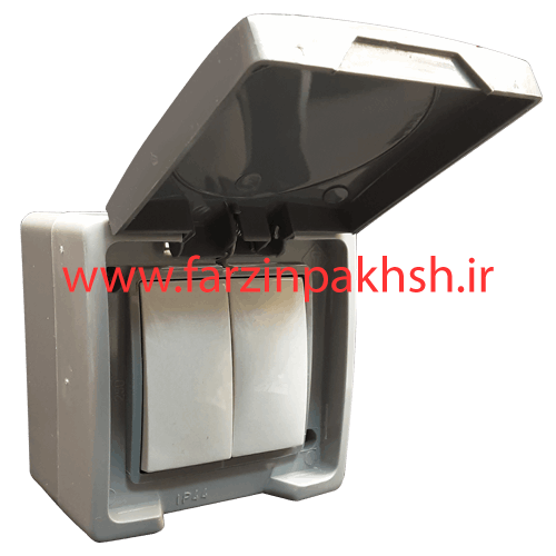 کلید دو پل IP44 روکار دلند مدل سیلور