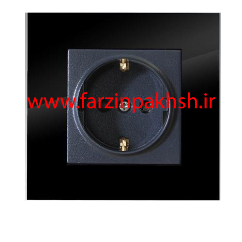 پریز ارت محافظ دار توکار دلند مدل آسا پلکسی مشکی