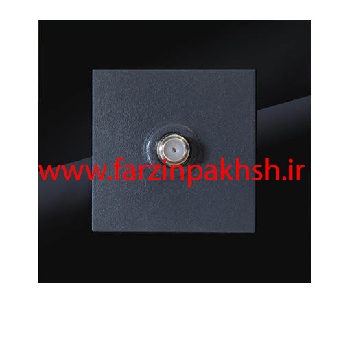 پریز آنتن ماهواره SAT توکار دلند مدل آسا پلکسی مشکی