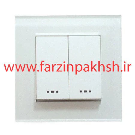 کلید دو پل توکار دلند مدل آسا پلکسی سفید