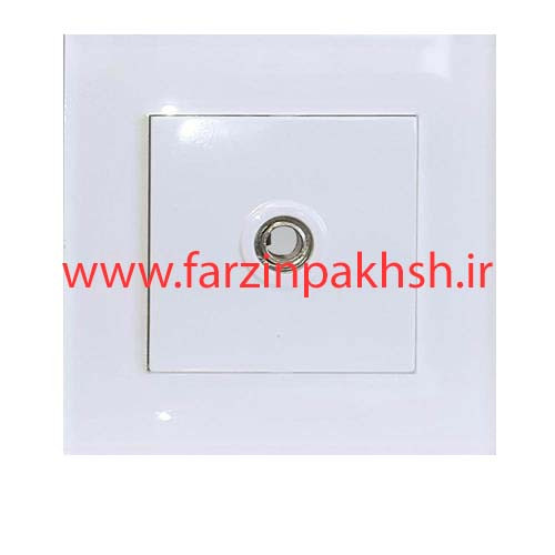 پریز فیش آنتن توکار دلند مدل آسا پلکسی سفید