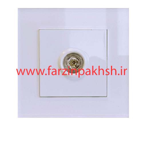 پریز فیش بلندگو توکار دلند مدل آسا پلکسی سفید