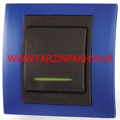 کلید یک پل توکار دلند مدل سیلور رنگ آبی کارینی