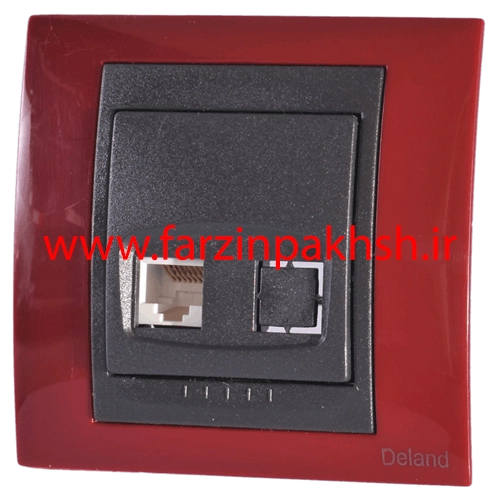 پریز برق سوکت شبکه CAT6 دلند مدل سیلور رنگ آجری متالیک