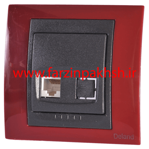 پریز برق سوکت شبکه CAT6 دلند مدل سیلور رنگ آجری متالیک