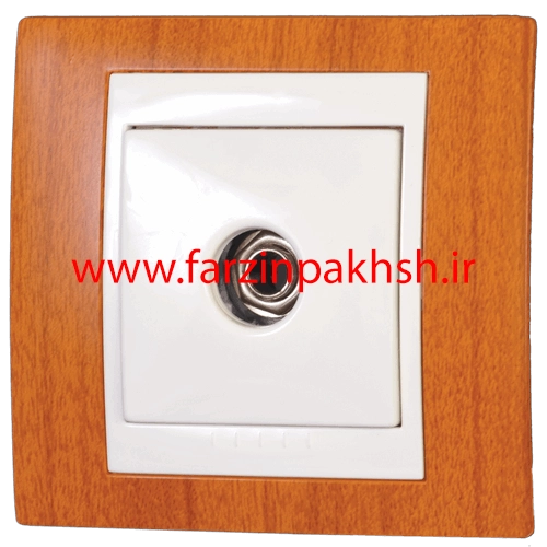 پریز برق فیش بلندگو توکار دلند مدل سیلور رنگ طرح چوب