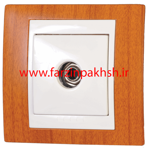 پریز برق فیش بلندگو توکار دلند مدل سیلور رنگ طرح چوب