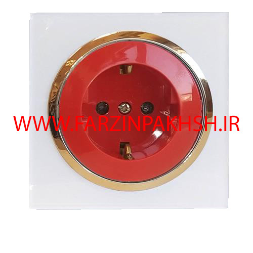 پریز ارت محافظ دار UPS توکار دلند مدل آوا پلکسی قاب سفید زه طلایی