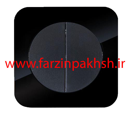 کلید دو پل توکار دلند مدل آدا پلکسی قاب مشکی