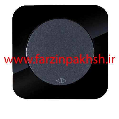 کلید کراکس (صلیبی) توکار دلند مدل آدا پلکسی قاب مشکی