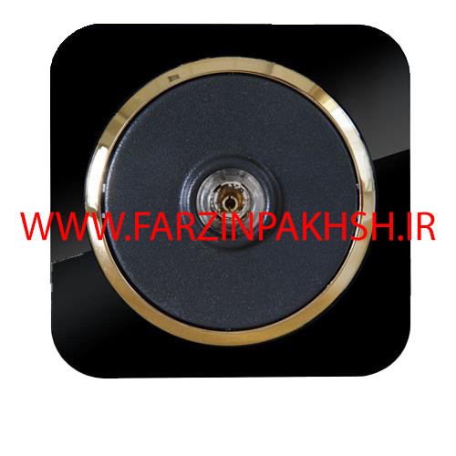 پریز برق فیش بلندگو توکار دلند مدل آدا پلکسی قاب مشکی