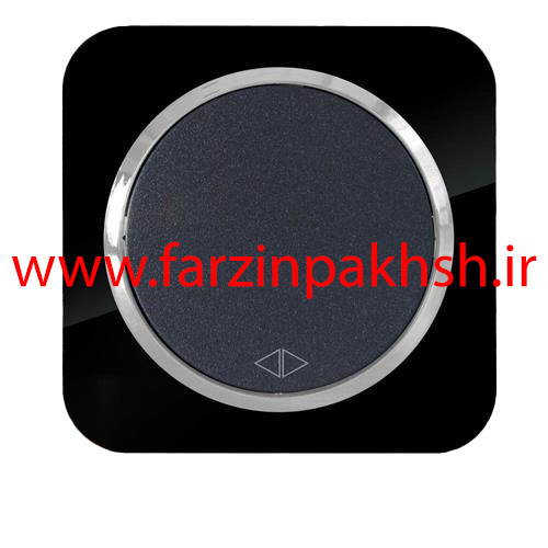 کلید کراکس (صلیبی) توکار دلند مدل آدا پلکسی قاب مشکی