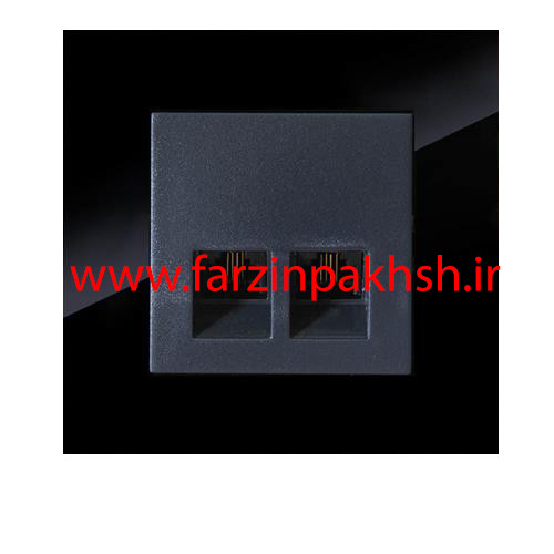 پریز سوکت شبکه CAT6 توکار دلند مدل آسا پلکسی مشکی