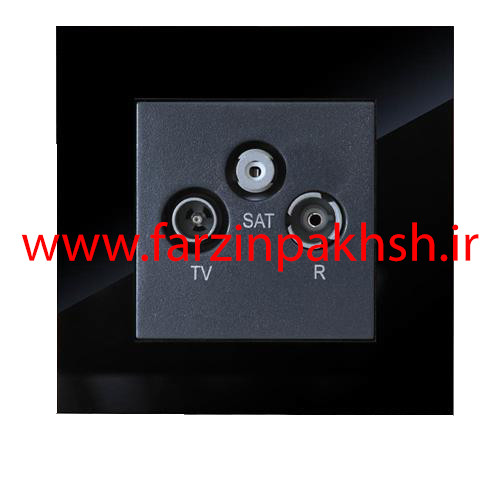 پریز فیش آنتن مرکزی توکار دلند مدل آسا پلکسی مشکی