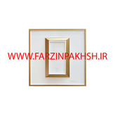 کلید و پریز توکار ویرا مدل ویراپرو کلاسیک سفید زه طلایی