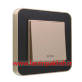 کلید یک پل توکار ایران الکتریک مدل ارس پلکسی بژ زه مشکی