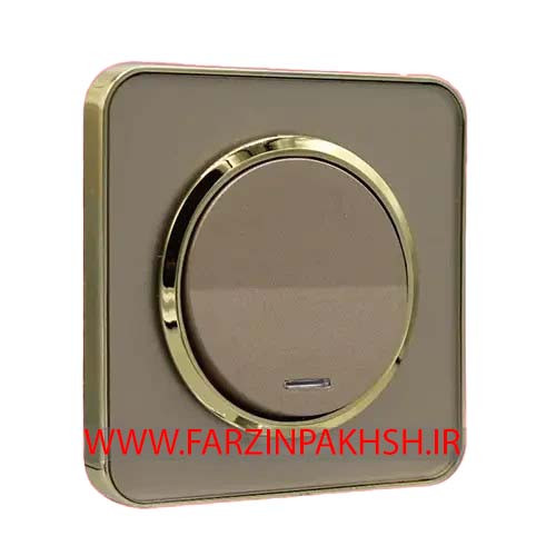 کلید و پریز توکار ایران الکتریک مدل اسپیناس طلایی بژ