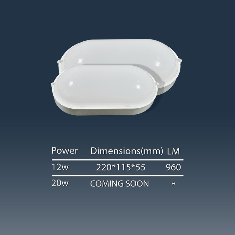 چراغ دیواری 20 وات IP65 شاه چراغ پارسیان مدل باران