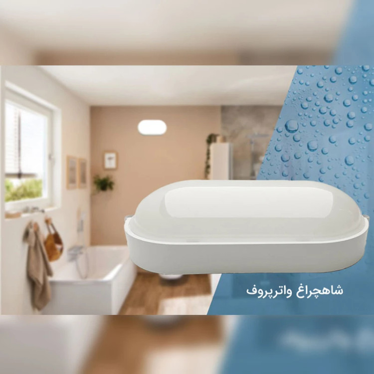 چراغ دیواری 20 وات IP65 شاه چراغ پارسیان مدل باران