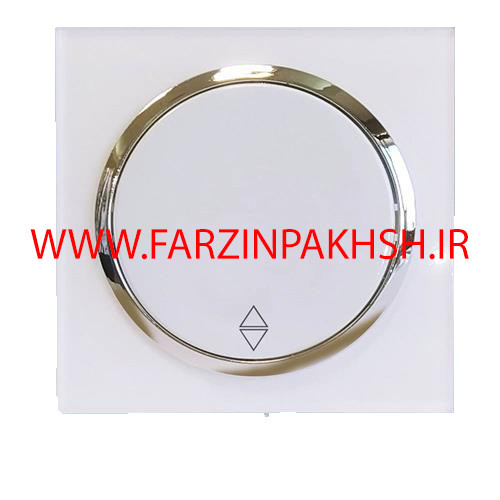 کلید یک پل توکار دلند مدل آدا زه نقره ای