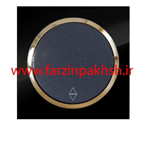 کلید یک پل توکار دلند مدل آوا پلکسی مشکی زه طلایی
