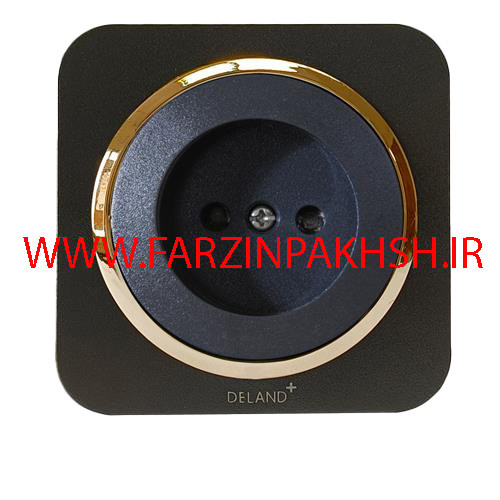 کلید یک پل توکار دلند مدل آدا مشکی زه طلایی