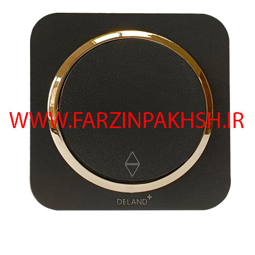 کلید یک پل توکار دلند مدل آدا مشکی زه طلایی