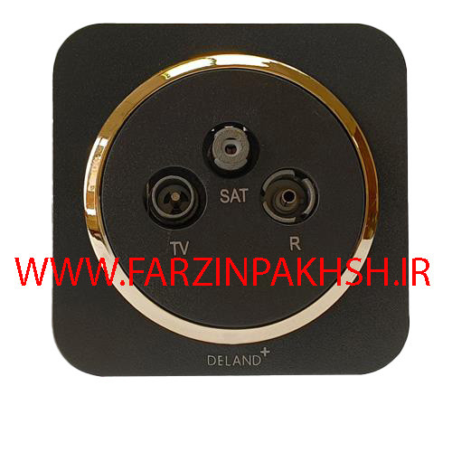 کلید یک پل توکار دلند مدل آدا مشکی زه طلایی